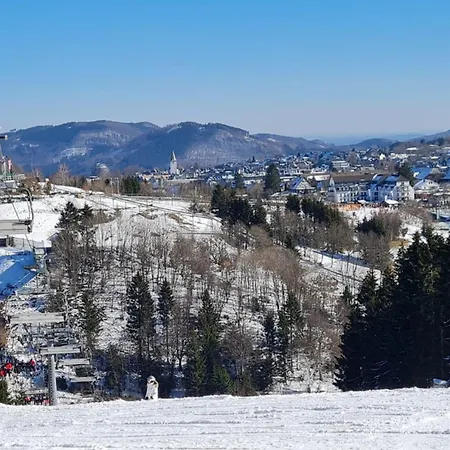 Mountainview 아파트 *